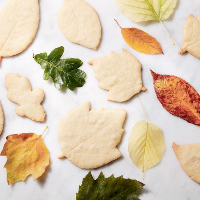 biscuits automne 2018 biscuits automne 2018